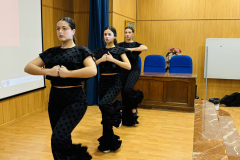 gala_dia_flamenco_2025_ieslosremedios-003