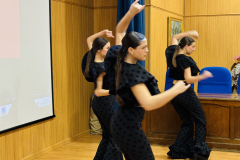 gala_dia_flamenco_2025_ieslosremedios-013