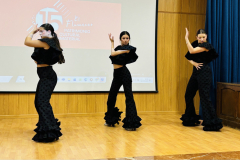gala_dia_flamenco_2025_ieslosremedios-015