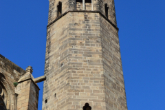 DSC_0955