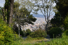 DSC_1040