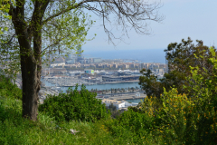 DSC_1066