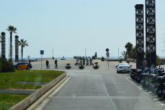 DSC_1111