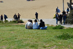 DSC_1125