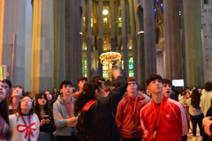 DSC_1186